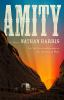 Book cover for "Amity".
