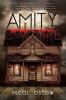 Book cover for "Amity".